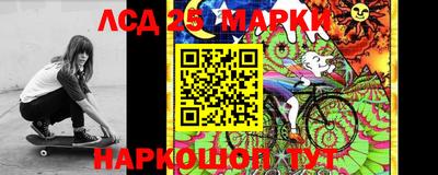 ешки Бердск