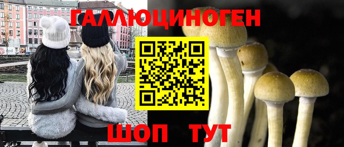 Брянск  Галлюциногенные грибы GOLDEN TEACHER  сколько стоит  Вход с VPN 
